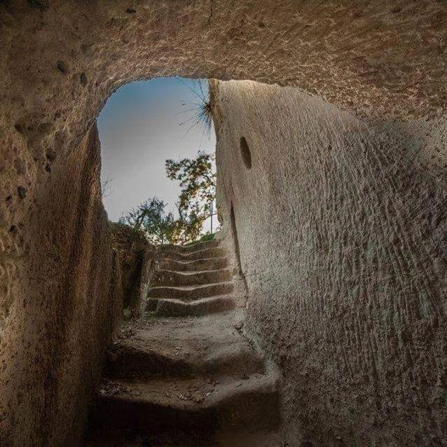 Villa Kore, קאפו ואטיצ'אנו מראה חיצוני תמונה