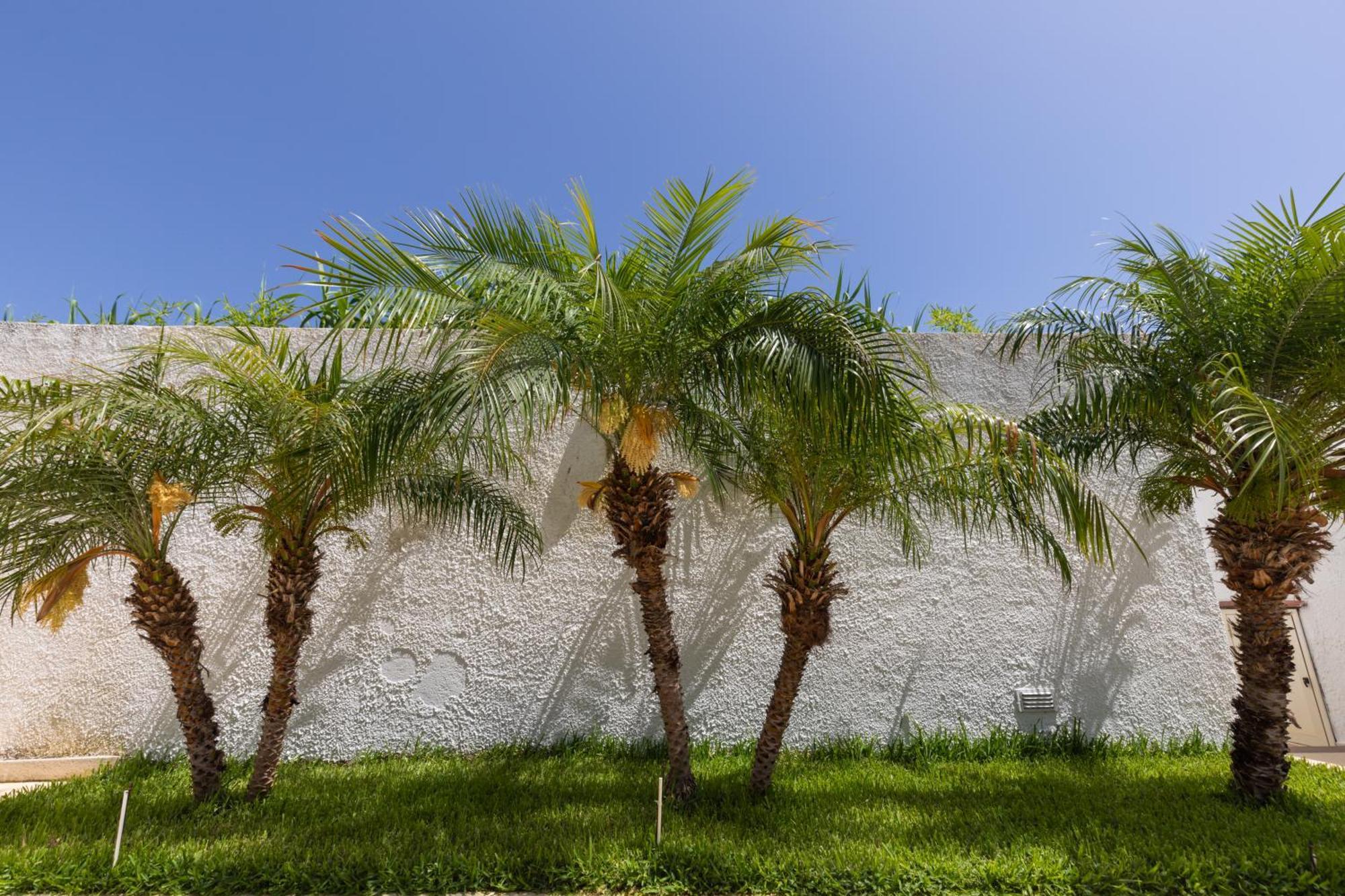 Villa Kore, קאפו ואטיצ'אנו מראה חיצוני תמונה